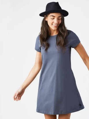 Ridley Swing Dress